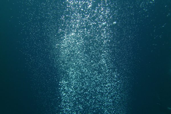 Underwater bubbles rising from the depth of the blue sea